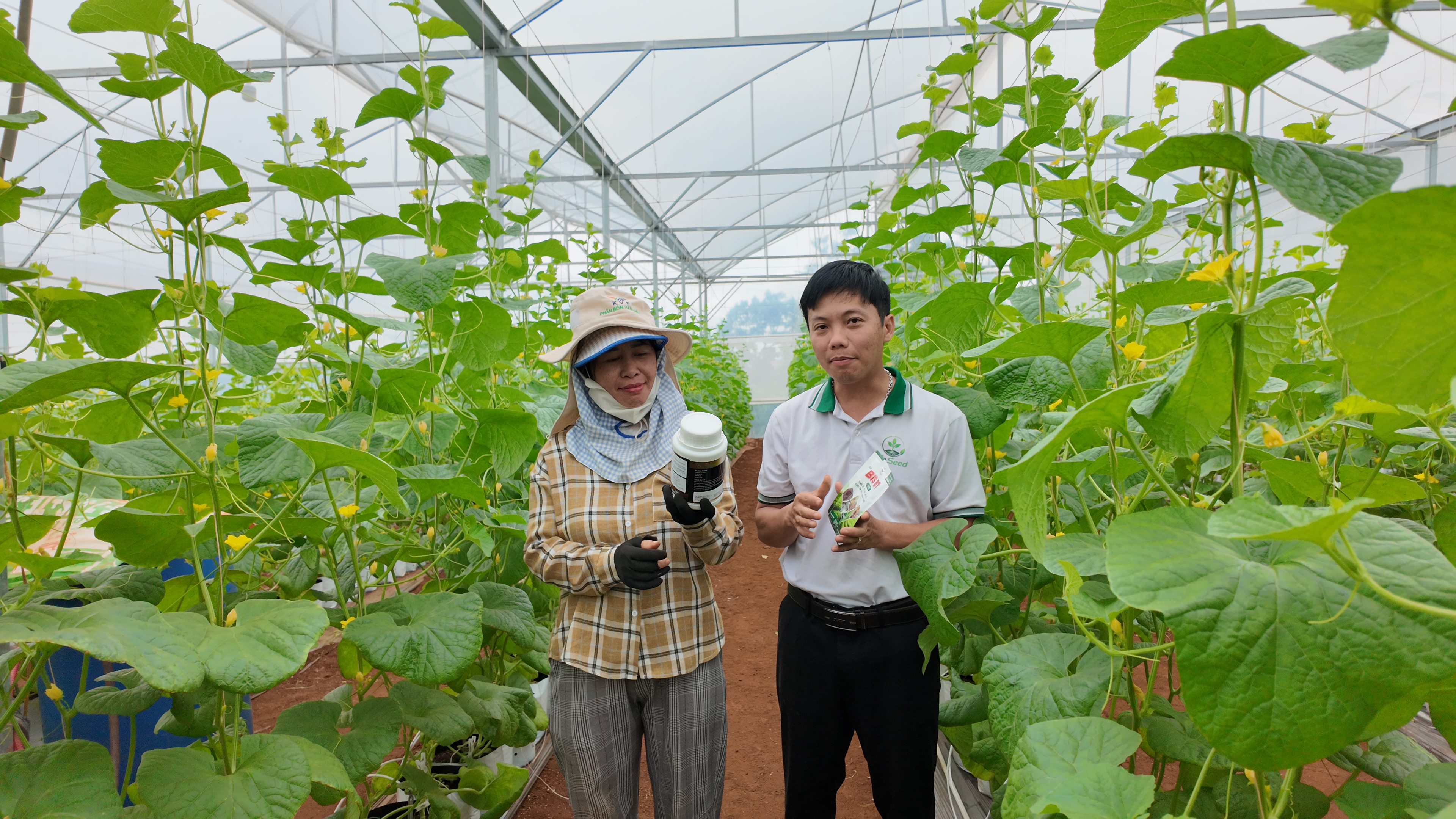 Chị Nụ và vườn cây